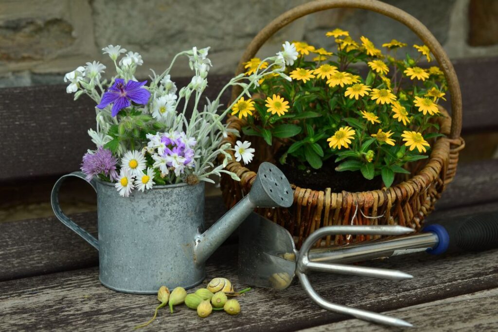 10 Stunning Flower Garden Ideas to Transform Your Outdoor Space