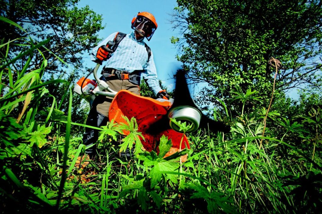 Top-Rated Local Gardener Near Me – Hire with Confidence
