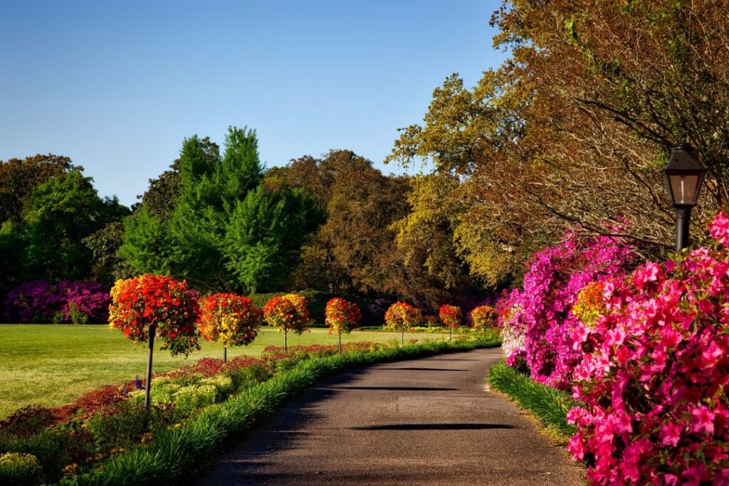 10 Stunning Flower Garden Ideas to Transform Your Outdoor Space
