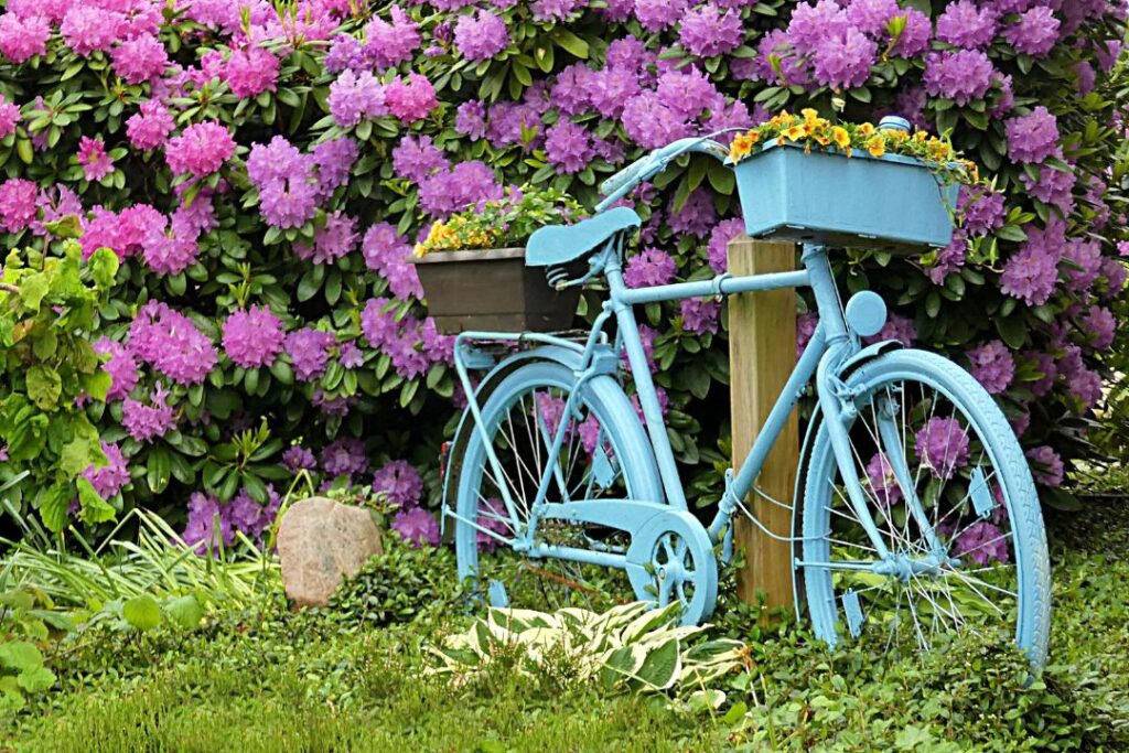 Garden at House: Essential Tips & Ideas to Create a Stunning Home Garden