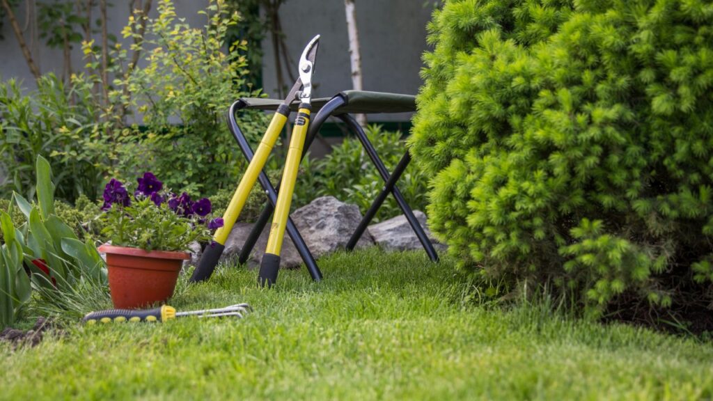 Start Your Container Garden Today – Simple Tips for Beginners
