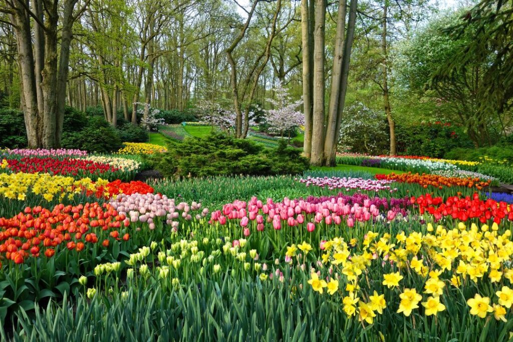 10 Stunning Flower Garden Ideas to Transform Your Outdoor Space