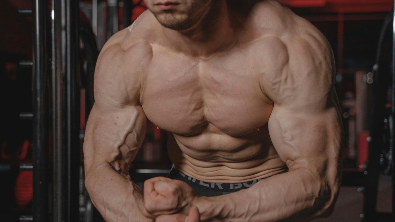 Explosive Chest Tricep Workout for Powerful Arms 2025
