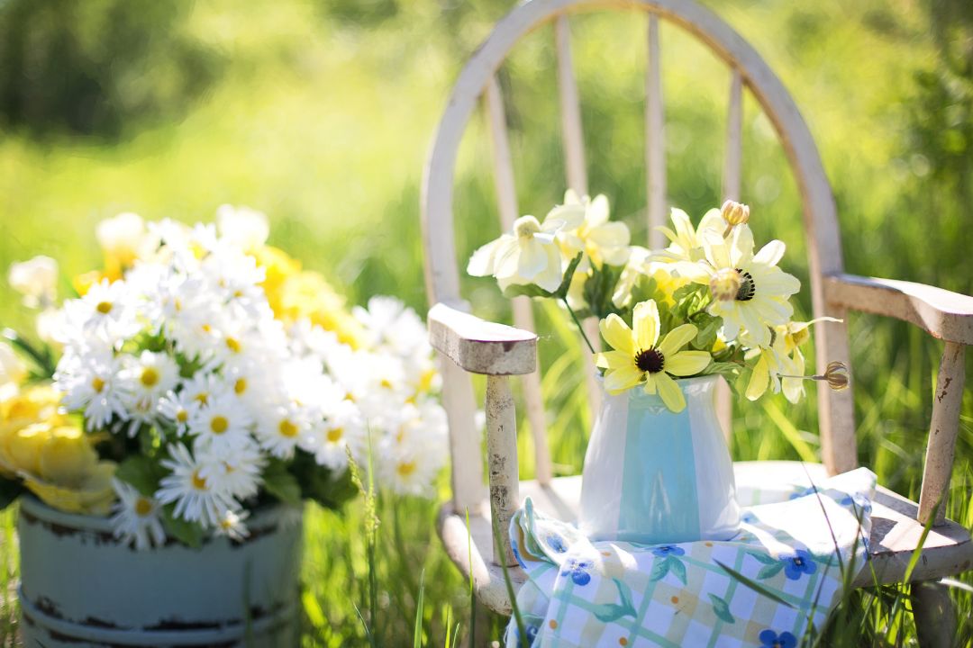 10 Stunning Flower Garden Ideas to Transform Your Outdoor Space
