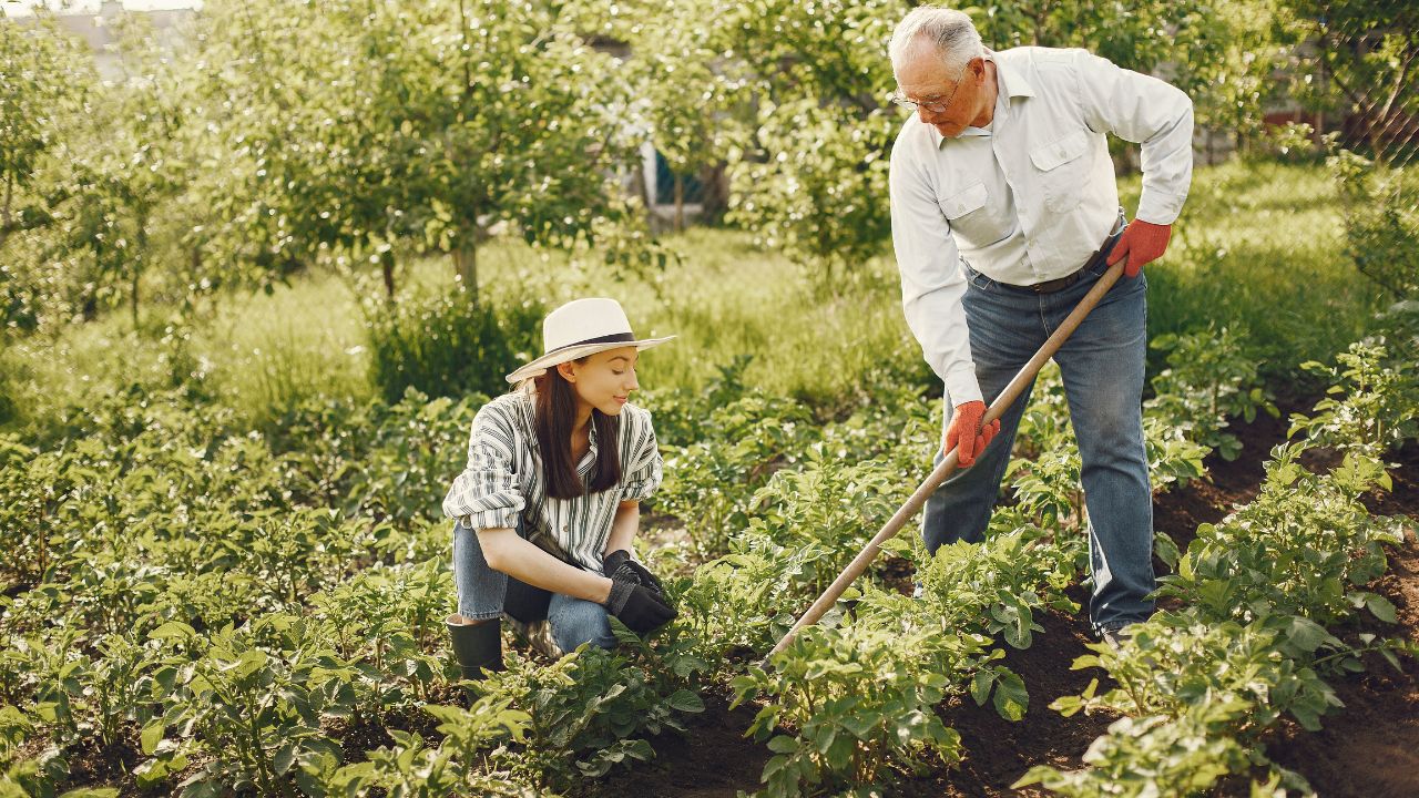 Gardening for Beginners: A Complete Guide to Starting Your Own Garden