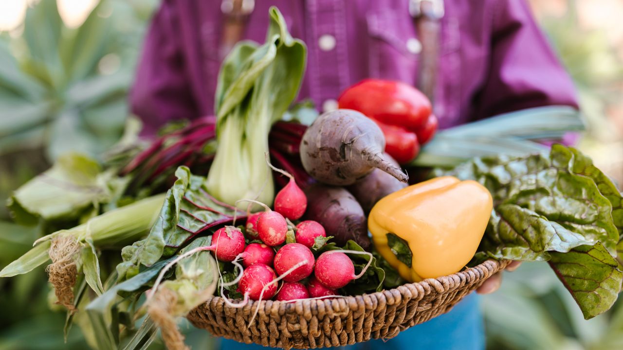 Top 10 Plants with Vegetables for a Healthy and Productive Garden
