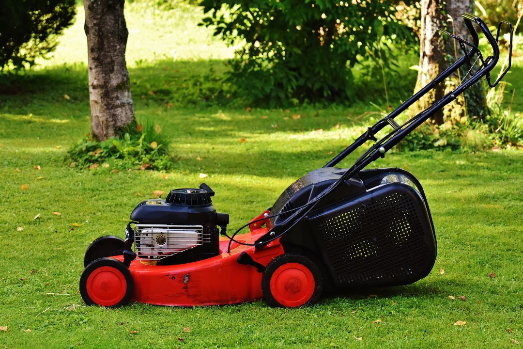 Top-Rated Local Gardener Near Me – Hire with Confidence